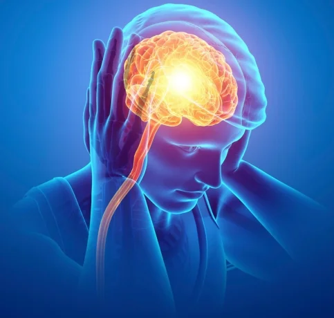 Neurology Photo