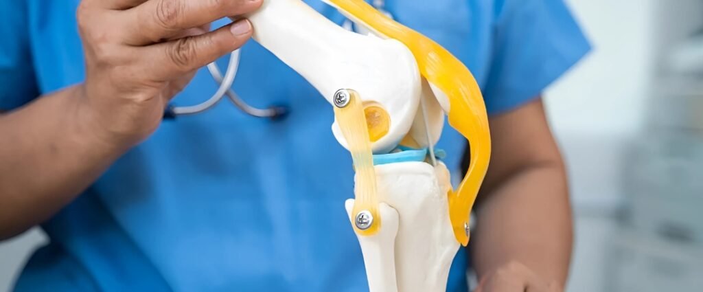 Ligament